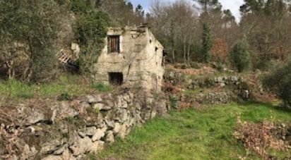 Terrain à Parada de Gonta de 100 000 m²