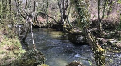 Terrain à Parada de Gonta de 100 000 m²