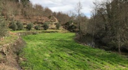 Terrain à Parada de Gonta de 100 000 m²