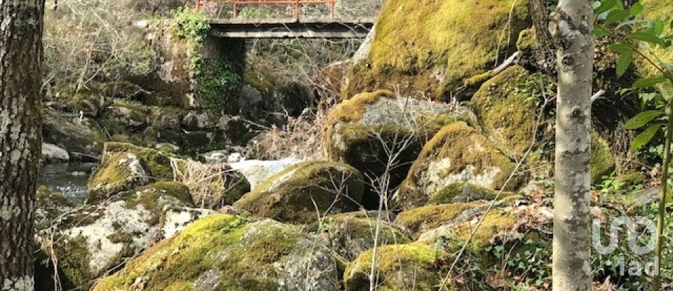 Terreno em Parada de Gonta de 100 000 m²