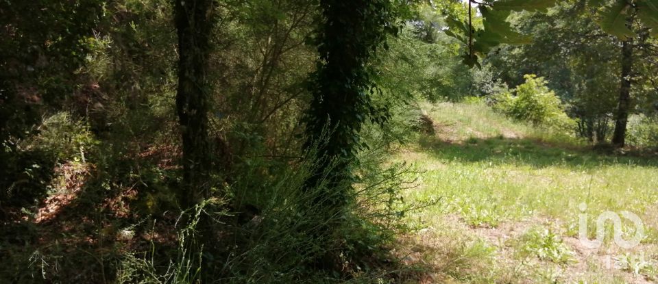 Terreno em Parada de Gonta de 100 000 m²