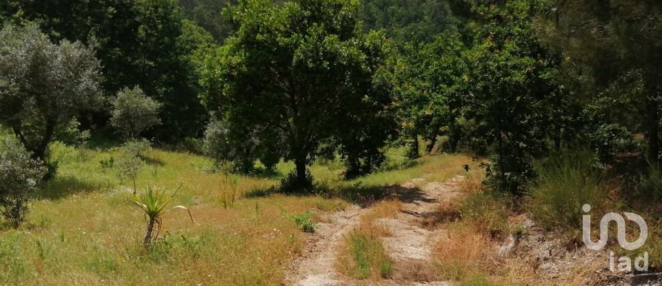 Terreno em Parada de Gonta de 100 000 m²