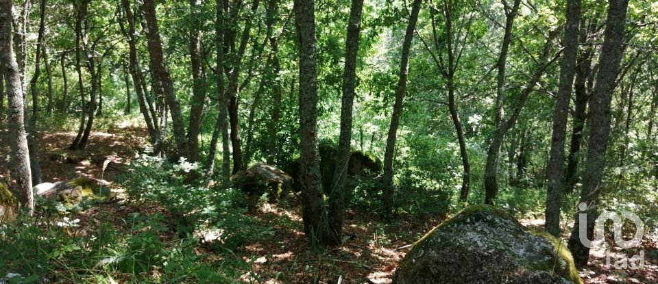 Terreno em Parada de Gonta de 100 000 m²