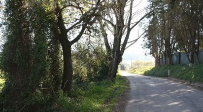 Land in Palmela of 7,120 m²