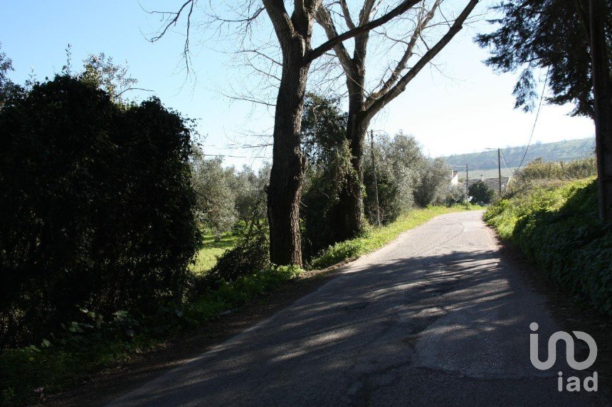 Terrain à Palmela de 7 120 m²