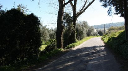 Terrain à Palmela de 7 120 m²