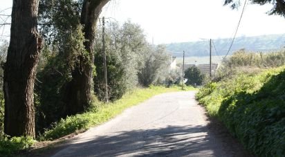 Land in Palmela of 7,120 m²