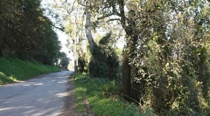 Land in Palmela of 7,120 m²