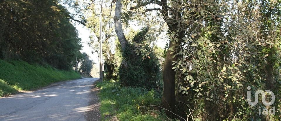 Terrain à Palmela de 7 120 m²