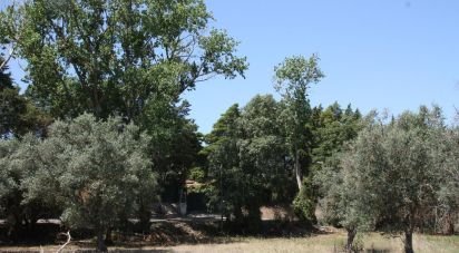 Land in Palmela of 7,120 m²