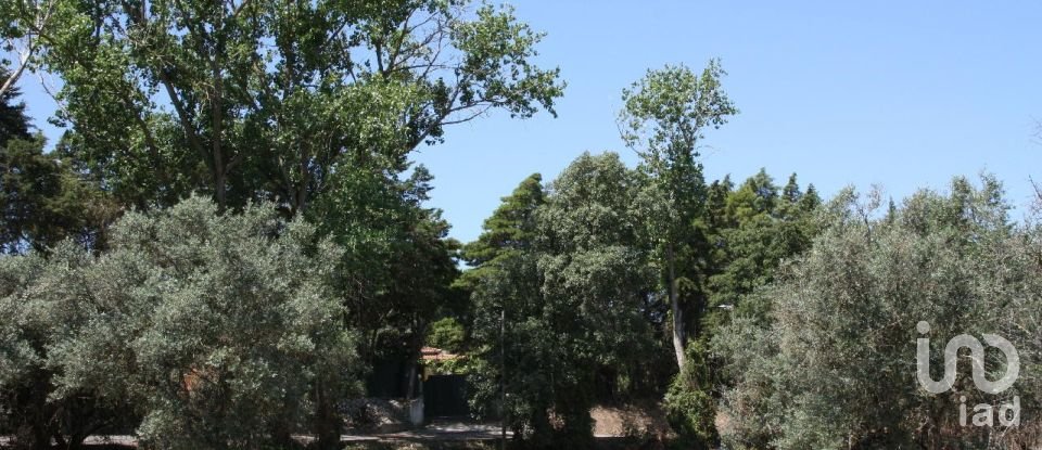 Terrain à Palmela de 7 120 m²