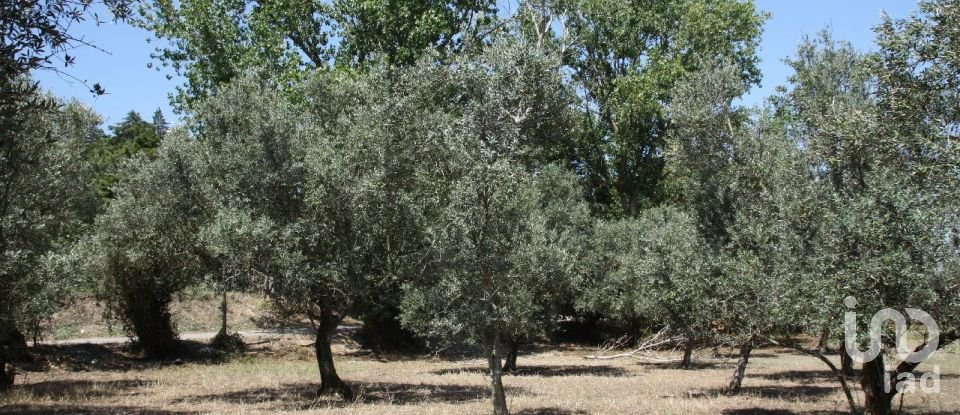 Terrain à Palmela de 7 120 m²