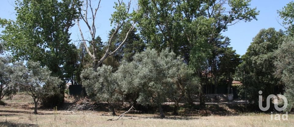 Terrain à Palmela de 7 120 m²