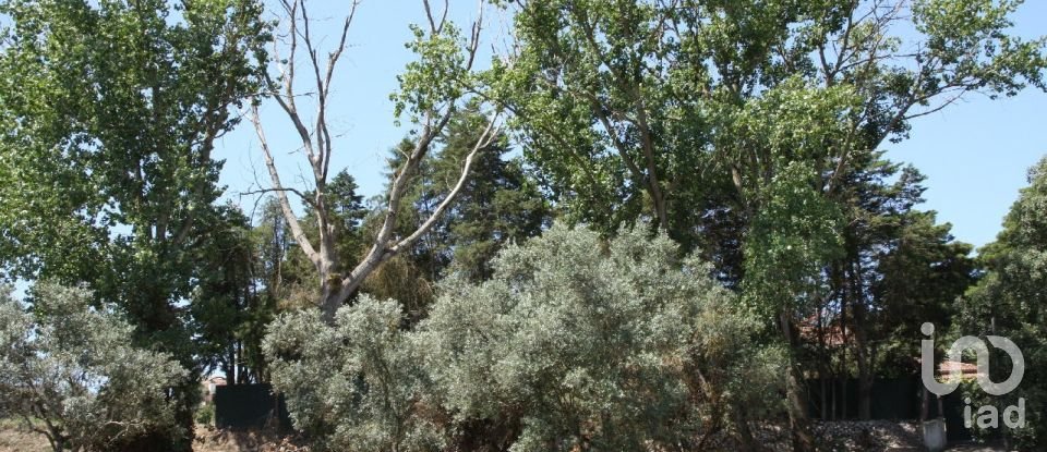 Terrain à Palmela de 7 120 m²