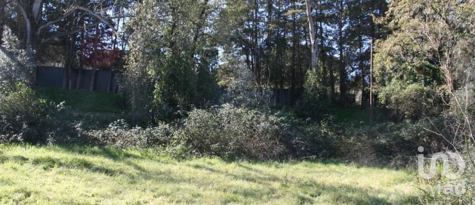 Terrain à Palmela de 7 120 m²