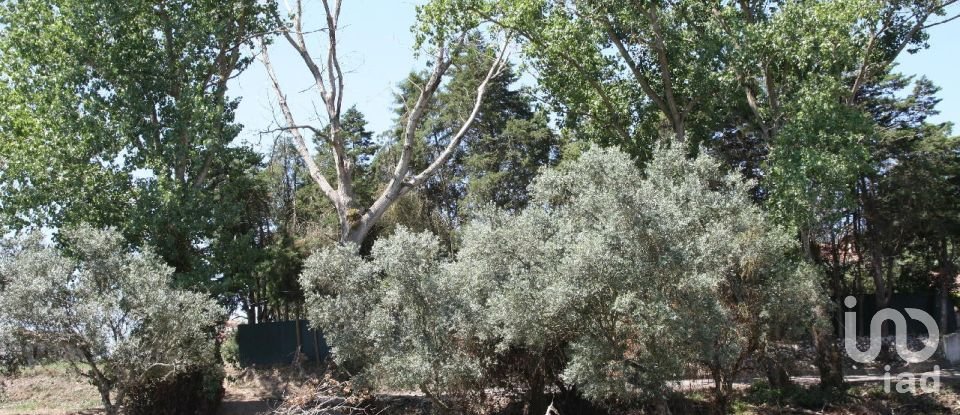 Terrain à Palmela de 7 120 m²