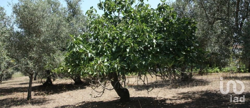 Terrain à Palmela de 7 120 m²