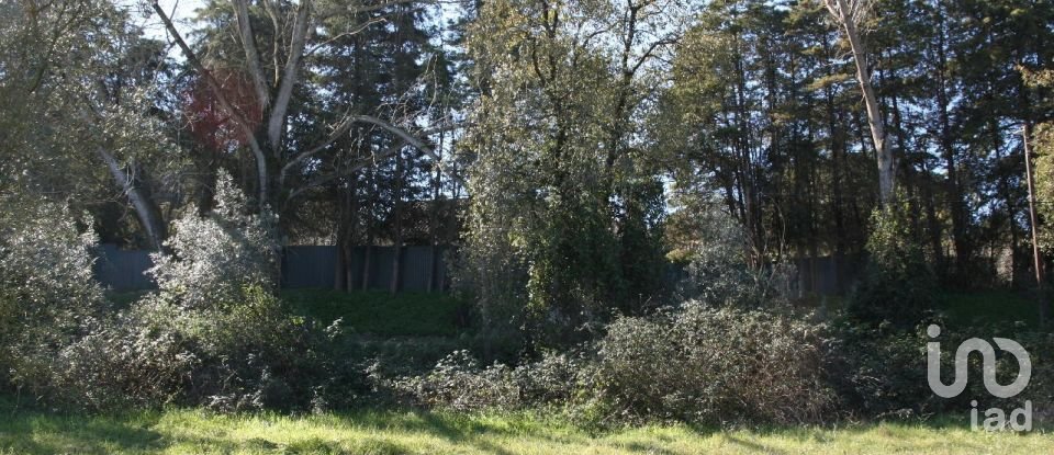 Terrain à Palmela de 7 120 m²