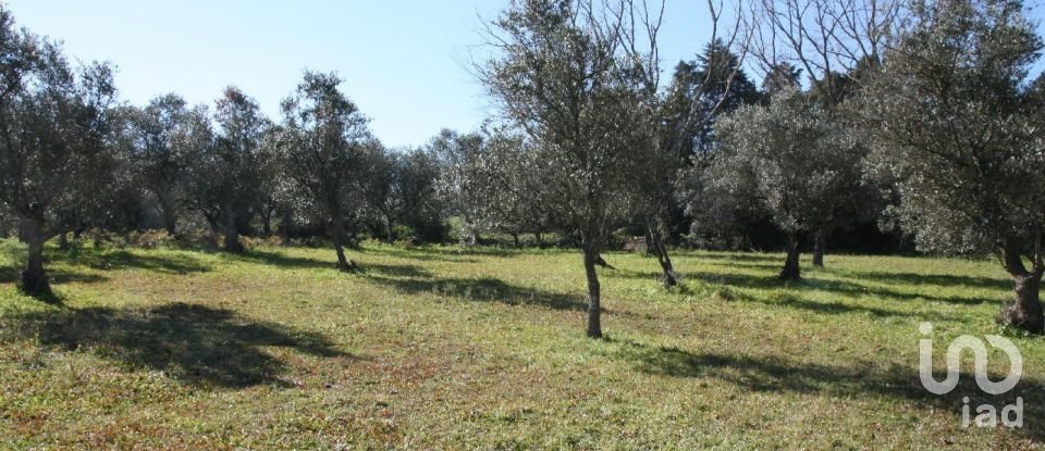 Terrain à Palmela de 7 120 m²