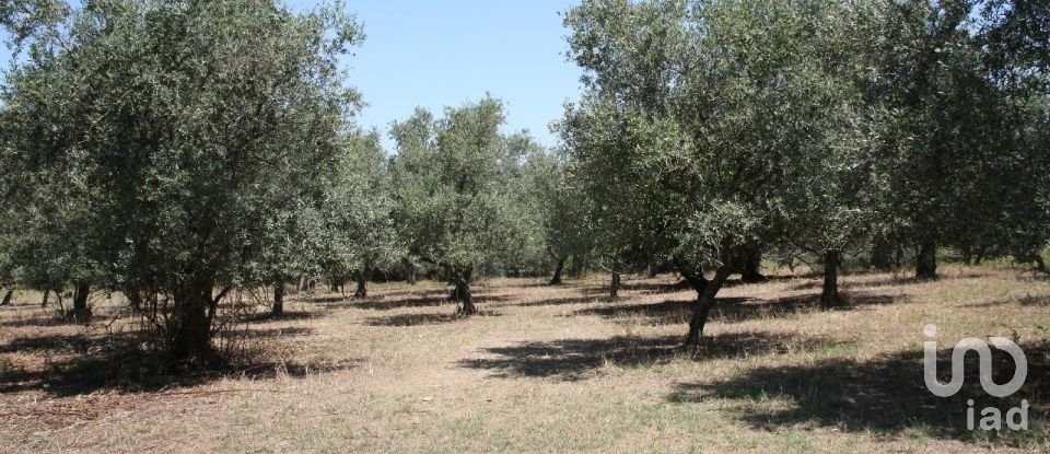 Terrain à Palmela de 7 120 m²