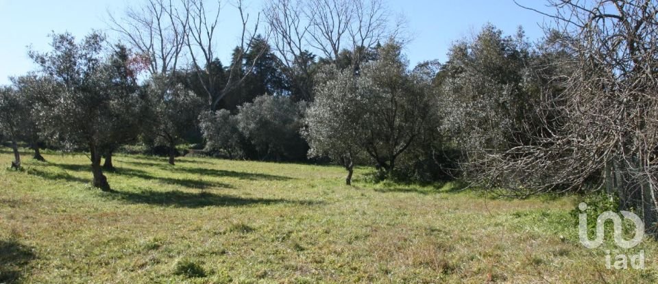 Terrain à Palmela de 7 120 m²