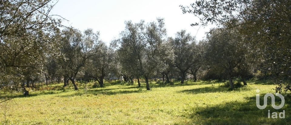 Terrain à Palmela de 7 120 m²