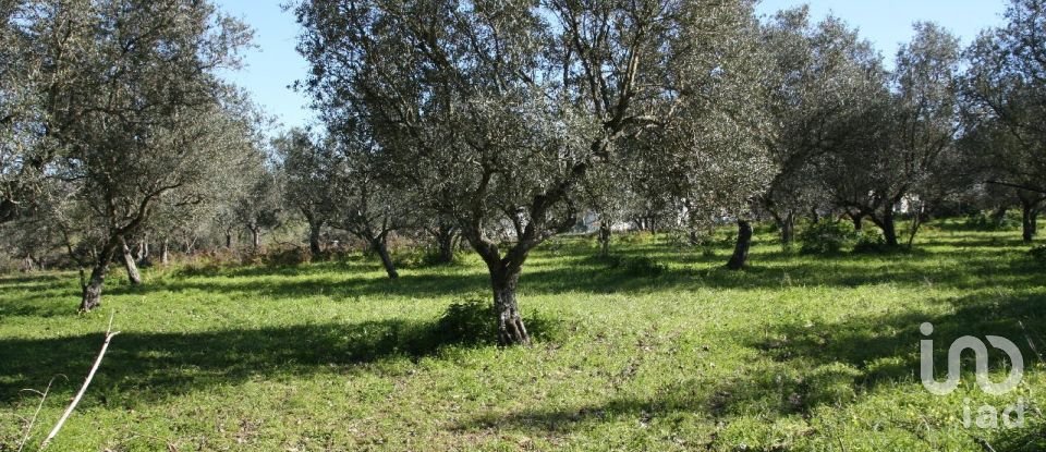 Terrain à Palmela de 7 120 m²