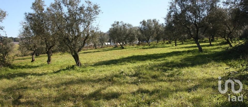 Terrain à Palmela de 7 120 m²