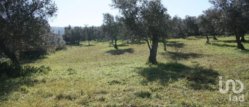 Terrain à Palmela de 7 120 m²