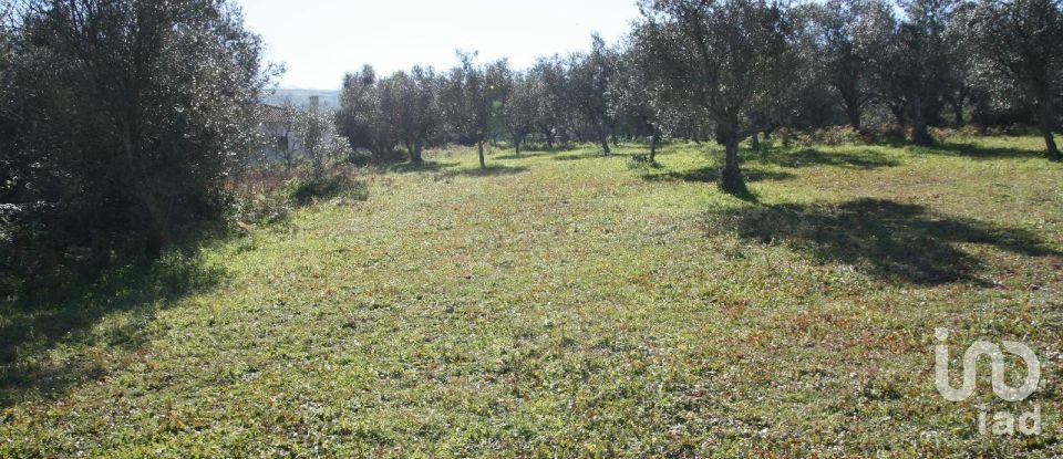 Terrain à Palmela de 7 120 m²