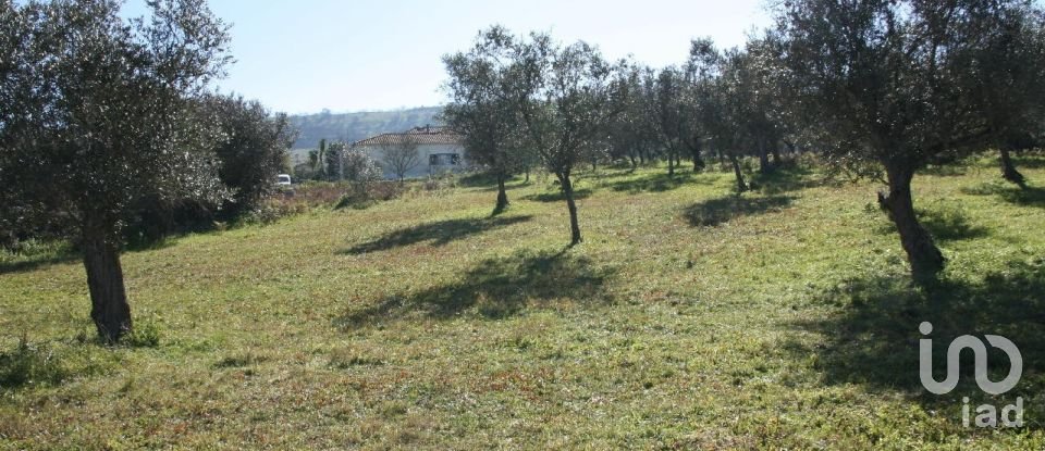 Terrain à Palmela de 7 120 m²