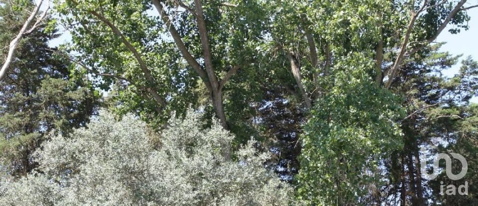 Terrain à Palmela de 7 120 m²