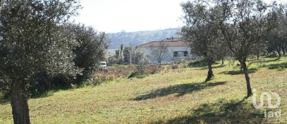 Terrain à Palmela de 7 120 m²