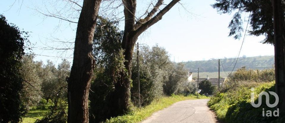 Terrain à Palmela de 7 120 m²