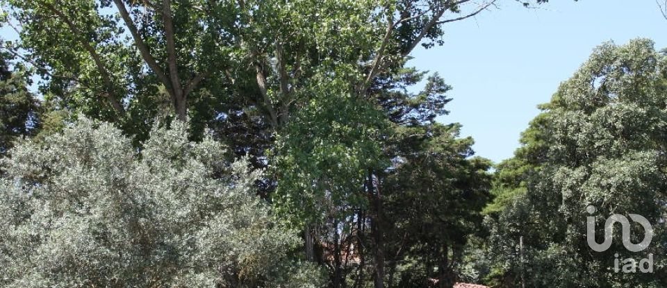 Terrain à Palmela de 7 120 m²