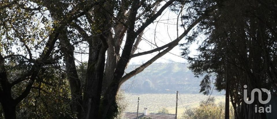 Terrain à Palmela de 7 120 m²