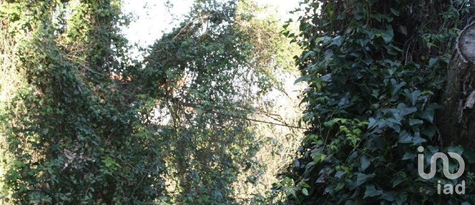 Terrain à Palmela de 7 120 m²