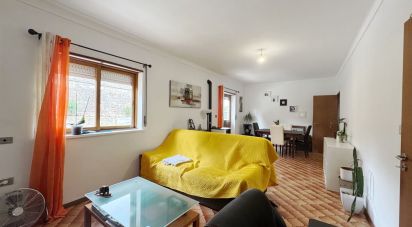 House T3 in Monção e Troviscoso of 293 m²