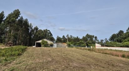 Land in Ponte de Vagos e Santa Catarina of 610 m²