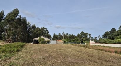 Land in Ponte de Vagos e Santa Catarina of 610 m²