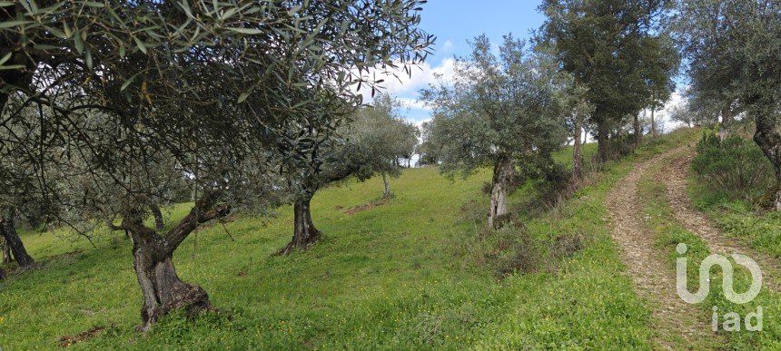 Land in Aranhas of 1,600 m²