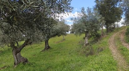 Land in Aranhas of 1,600 m²