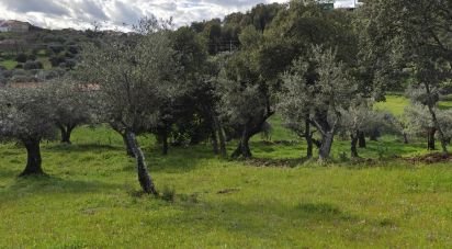 Land in Aranhas of 1,600 m²