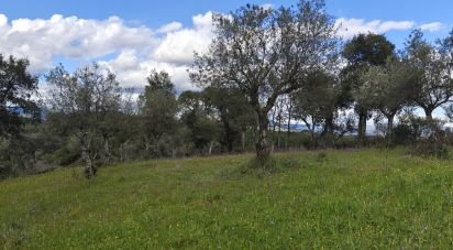 Land in Aranhas of 1,600 m²