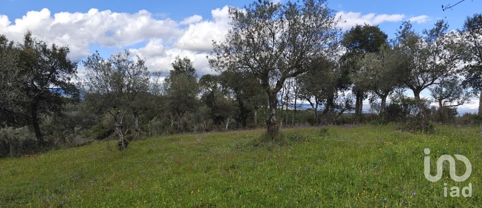 Land in Aranhas of 1,600 m²
