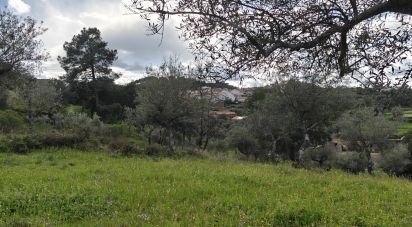 Land in Aranhas of 1,600 m²