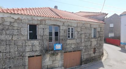 Maison T0 à Covas e Vila Nova de Oliveirinha de 246 m²