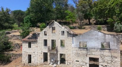 Terrain à bâtir à Santa Ovaia e Vila Pouca da Beira de 12 220 m²