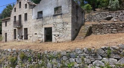 Terrain à bâtir à Santa Ovaia e Vila Pouca da Beira de 12 220 m²