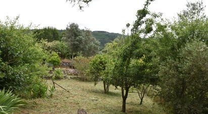 Farm T3 in São Miguel, Santa Eufémia e Rabaçal of 378 m²